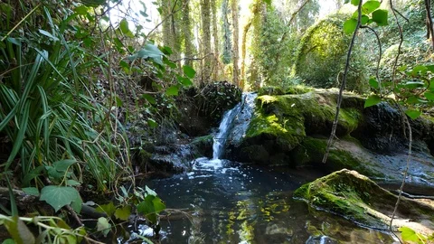 4K Beautiful image of a waterfall in a mountain stream Stock Footage 92903504