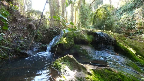 4K Beautiful image of a waterfall in a mountain stream Stock Footage 92903557