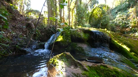 4K Beautiful image of a waterfall in a mountain stream Stock Footage 92903613