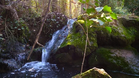 4K Beautiful image of a waterfall in a mountain stream Stock Footage 92903731