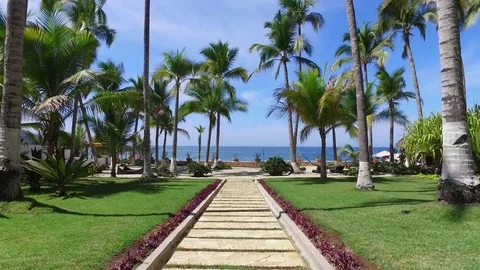 4k beautiful Luxury path to the beach palm trees Stock Footage 84996120