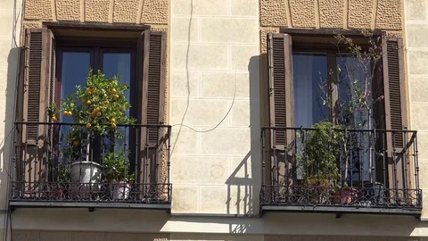 4K Beautiful ornamental orange tree on ancient house balcony Madrid suburb area Stock Footage