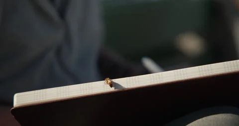 4K Bee sitting on edge of notebook Stock Footage 262492014