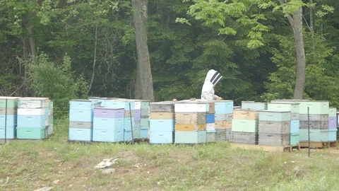 4K Beekeeper Moving Crates Stock Footage 87411946