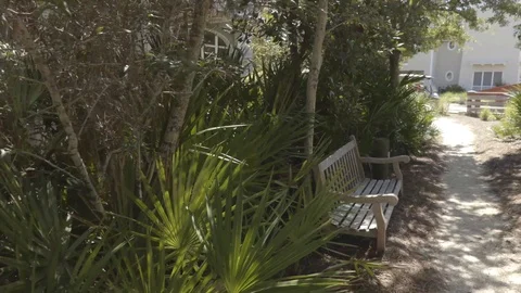 4K Bench On Wooded Dirt Path With Golf Cart Driving By Stock Footage 123086982