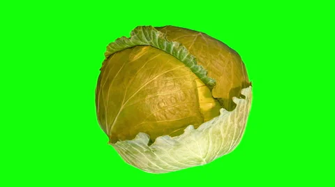 4k – Big head of cabbage Stock Footage 56219406