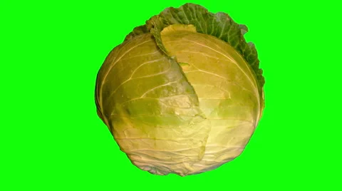 4k – Big head of cabbage Stock Footage 56533113