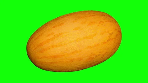 4k – Big ripe melon Stock Footage 56601614
