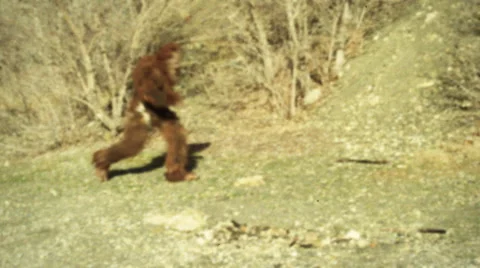4K Bigfoot Caught on Film Stock Footage