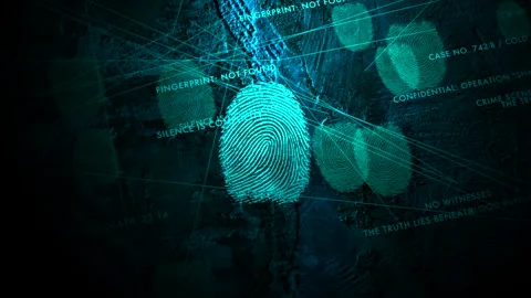 4K Biometric Fingerprint Scan with Forensic Data Overlays Stock Footage 333179260