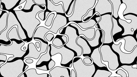4K Biomorphic abstract background. Abstract organic black and white pattern. Stock Footage 287205182