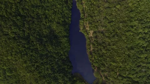 4K Bird eye view (zenithal) shot of small lake in the middle of a forest Stock Footage 282444017