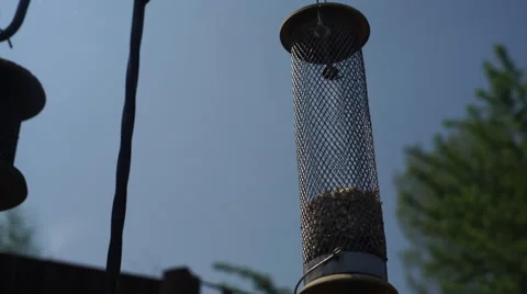 4K Birdfeed holder waves gently in the wind against blue sky and trees Stock Footage 63127315