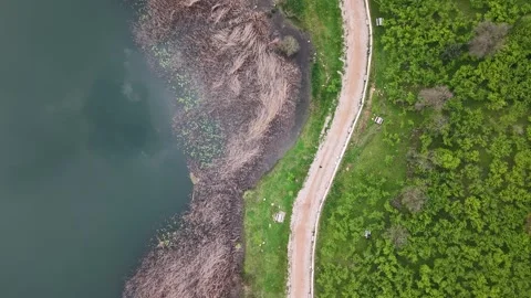 4K Bird’s Eye Drone Flight Over Calm Lake, Walk Path and Leaf Reflections Stock Footage 335784234