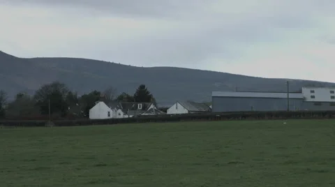 4K Birds Flying in an open field Stock Footage 46741348