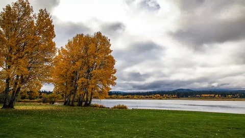 4K Black Butte Ranch OR Vídeo Stock 70842865