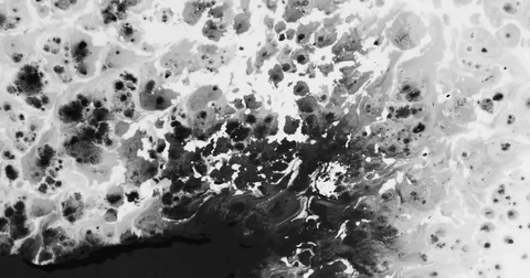 4K Black Ink Drop Splatter on white background Stock Footage 85197501