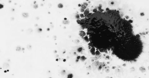 4K Black Ink Drop Splatter on white background Stock Footage 85237082