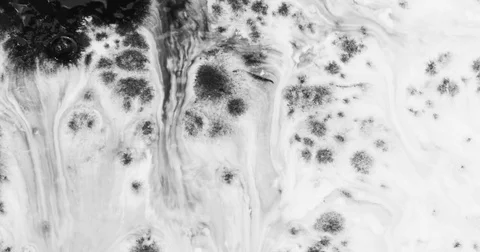 4K Black Ink Drop Splatter on white background dripping Stock Footage 85242838