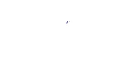 4K black outline female robot on white background Stock Footage 124591014