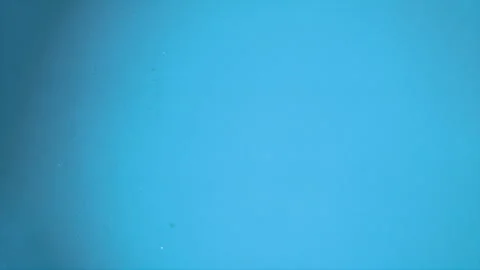 4K Blue Film Texture Loop Backgrand, Gradient Organic Imperfections for Overlay Stock Footage 293990404