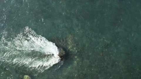 4k Blue Green Forest River Olympic National Forest Drone Aerial Stock Footage 154054411
