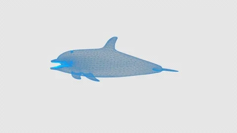 4k blue wireframe dolphin, transparent background Stock Footage 258892099