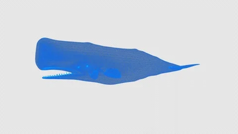 4k blue wireframe spermwhale, transparent background Stock Footage 258892429
