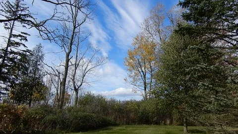 4K Blue Wispy Clouds Drifting In Blue Sky Stock Footage 89246280