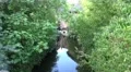4k Boat tour in safari park 4k or 4k+ Resolution