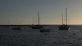4k Boats and sailing ships lying at anchor at Avor sunset - Portugal 4k or 4k+ Resolution
