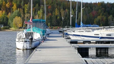 4K - Boats at dock Video stock 42356153