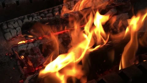 4k Bonfire burns in the summer forest, flames and coals on fire close-up in the Stock Footage 155358042