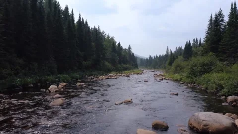 4K Boreal Forest Taiga Ecosystem with Flowing River in Northern Canada Stock Footage 327409230