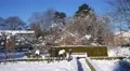 4k Botanic garden greenhouse Braunschweig snow winter 4k or 4k+ Resolution