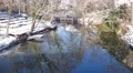 4k Botanic garden river Braunschweig snow winter 4k or 4k+ Resolution
