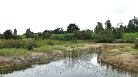 4k Botanic Park views of different types of greenpeace nature, plants, green Stock Footage 92874558