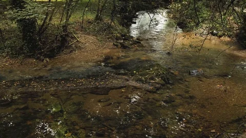 4k Botanic Park views of different types of greenpeace nature, plants, green Stock Footage 92878129