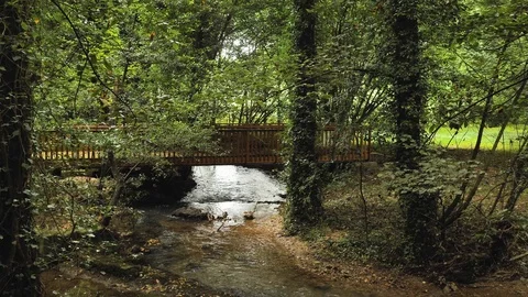 4k Botanic Park views of different types of greenpeace nature, plants, green Stock Footage 92878189