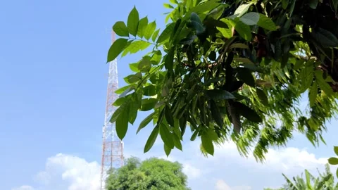 4K Bottom Angle View of Green Leaves Blowing in Wind with Tower and Clouds Video stock 280256896