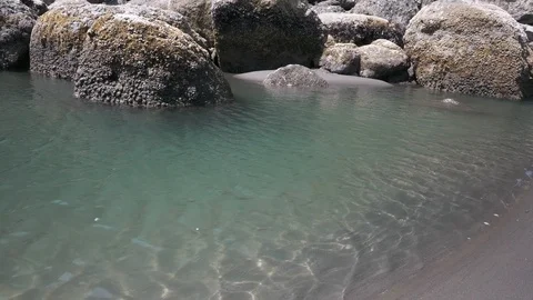 4K Boulder Covered in Barnacles at Pacific Northwest Beach Video stock 109038964