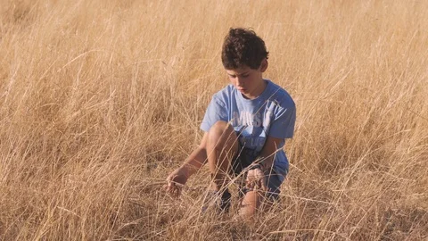 4K, boy playing in the field with the dried herbs after the summer. Stock Footage 99363358