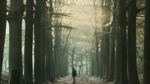 4k boz sunrays Stock Footage 147496182