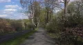 4k Braunschweig allotment colony plots in beautiful spring season 4k or 4k+ Resolution