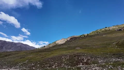 4K Breathtaking Panorama Towering Trees Adorn the Slopes of Majestic Green  Stock Footage 288323161