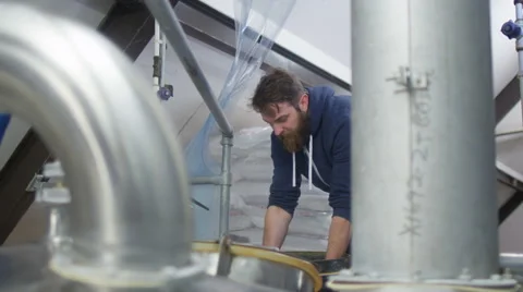 4K Brewery worker adding hops to industrial machine Stock Footage 61505520