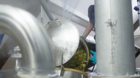 4K Brewery worker adding hops to industrial machine Stock Footage 61506224
