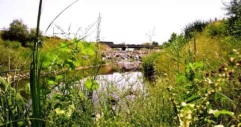 4K Bridge Over Stream Video stock 79897137