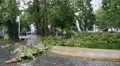 4k Broken tree after heavy rain thunderstorm in german city 4k or 4k+ Resolution