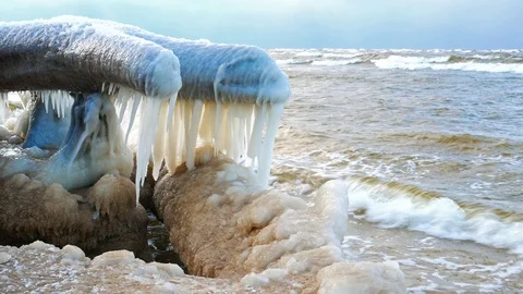 4K. Broken tree on the seaside with a number of icicles. Stock Footage 71197491